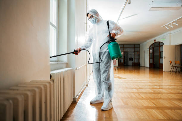 Best Pest Removal Services  in Quartzsite, AZ